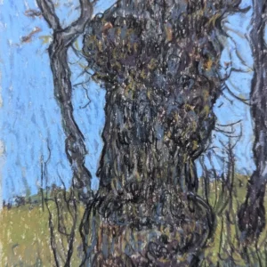 Sauce, pastel seco sobre cartón