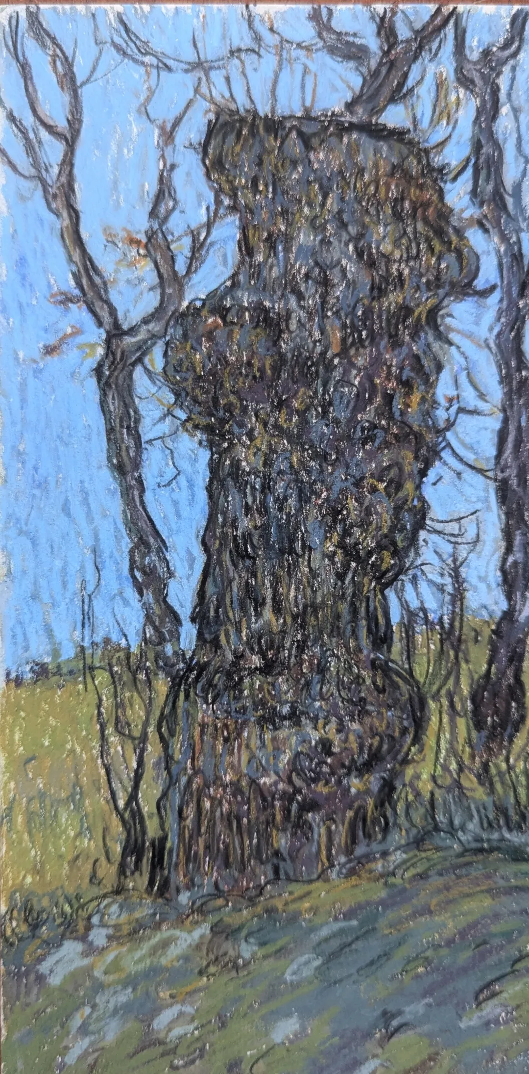 Sauce, pastel seco sobre cartón